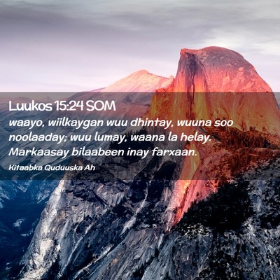 Picture 02 - Luukos 15:24 SOM - waayo, wiilkaygan wuu dhintay, wuuna soo - Bible Verse Picture