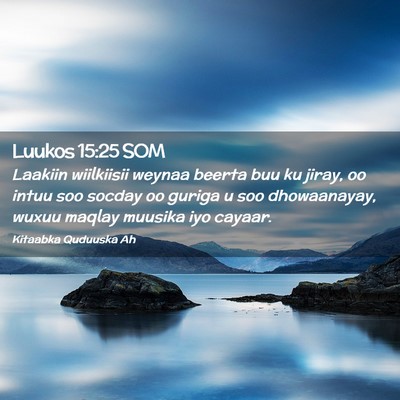 Picture 02 - Luukos 15:25 SOM - Laakiin wiilkiisii weynaa beerta buu ku jiray, oo - Bible Verse Picture