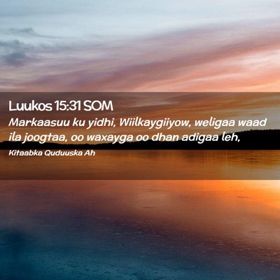 Picture 02 - Luukos 15:31 SOM - Markaasuu ku yidhi, Wiilkaygiiyow, weligaa waad - Bible Verse Picture
