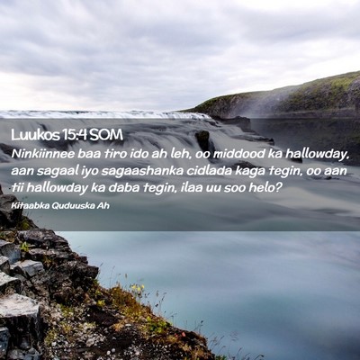 Picture 02 - Luukos 15:4 SOM - Ninkiinnee baa tiro ido ah leh, oo middood ka - Bible Verse Picture