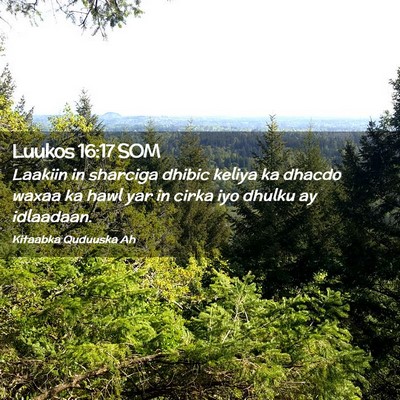 Picture 02 - Luukos 16:17 SOM - Laakiin in sharciga dhibic keliya ka dhacdo waxaa - Bible Verse Picture