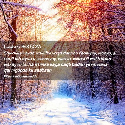 Picture 02 - Luukos 16:8 SOM - Sayidkiisii ayaa wakiilkii xaqa darnaa faaniyey, - Bible Verse Picture