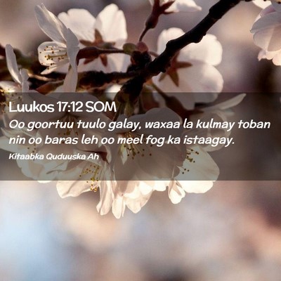 Picture 02 - Luukos 17:12 SOM - Oo goortuu tuulo galay, waxaa la kulmay toban nin - Bible Verse Picture