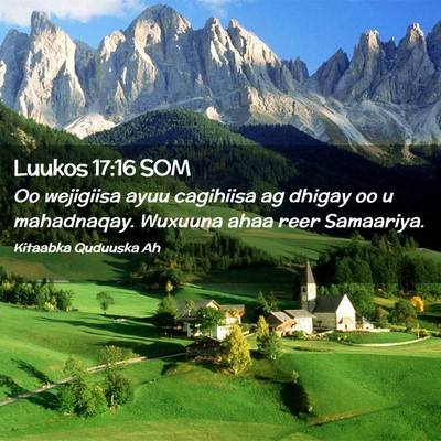 Picture 02 - Luukos 17:16 SOM - Oo wejigiisa ayuu cagihiisa ag dhigay oo u - Bible Verse Picture