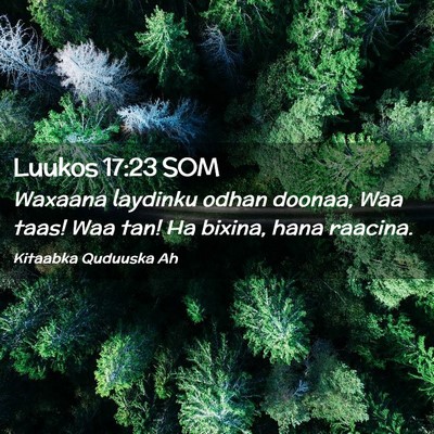 Picture 02 - Luukos 17:23 SOM - Waxaana laydinku odhan doonaa, Waa taas! Waa tan! - Bible Verse Picture