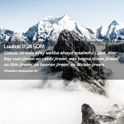 Picture 02 - Luukos 17:28 SOM - Sidaas oo kale ayay weliba ahayd maalmihii Luud. - Bible Verse Picture