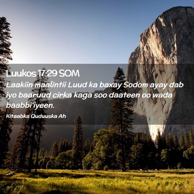 Picture 02 - Luukos 17:29 SOM - Laakiin maalintii Luud ka baxay Sodom ayay dab - Bible Verse Picture