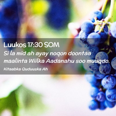 Picture 02 - Luukos 17:30 SOM - Si la mid ah ayay noqon doontaa maalinta Wiilka - Bible Verse Picture