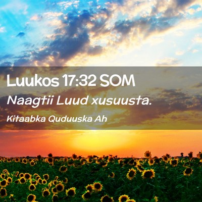 Picture 02 - Luukos 17:32 SOM - Naagtii Luud - Bible Verse Picture