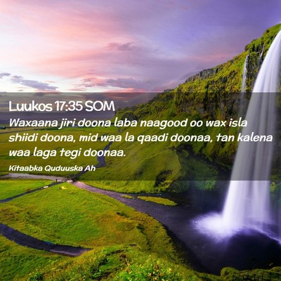 Picture 02 - Luukos 17:35 SOM - Waxaana jiri doona laba naagood oo wax isla - Bible Verse Picture