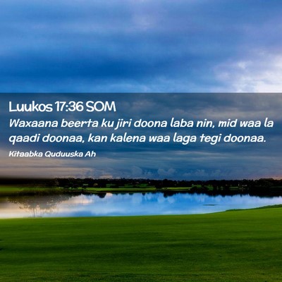 Picture 02 - Luukos 17:36 SOM - Waxaana beerta ku jiri doona laba nin, mid waa la - Bible Verse Picture