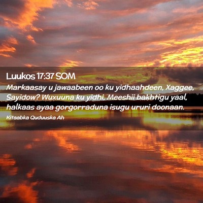 Picture 02 - Luukos 17:37 SOM - Markaasay u jawaabeen oo ku yidhaahdeen, Xaggee, - Bible Verse Picture