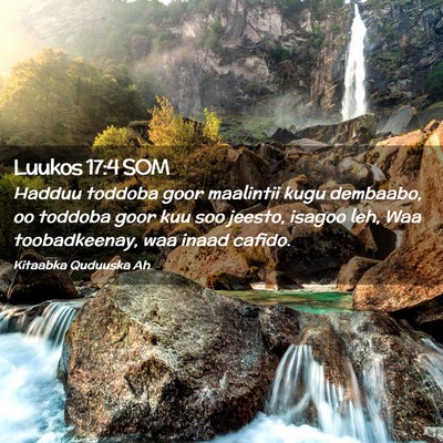 Picture 02 - Luukos 17:4 SOM - Hadduu toddoba goor maalintii kugu dembaabo, oo - Bible Verse Picture