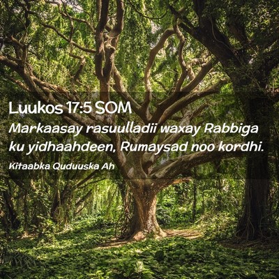 Picture 02 - Luukos 17:5 SOM - Markaasay rasuulladii waxay Rabbiga ku - Bible Verse Picture