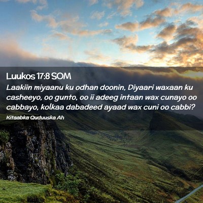 Picture 02 - Luukos 17:8 SOM - Laakiin miyaanu ku odhan doonin, Diyaari waxaan - Bible Verse Picture
