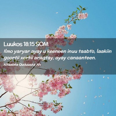 Picture 02 - Luukos 18:15 SOM - Ilmo yaryar ayay u keeneen inuu taabto, laakiin - Bible Verse Picture