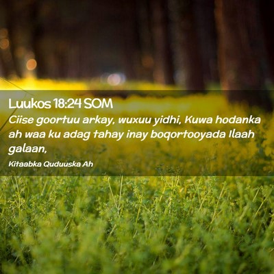 Picture 02 - Luukos 18:24 SOM - Ciise goortuu arkay, wuxuu yidhi, Kuwa hodanka ah - Bible Verse Picture
