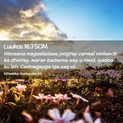 Picture 02 - Luukos 18:3 SOM - Waxaana magaaladaas joogtay carmal ninkeedii ka - Bible Verse Picture