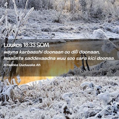 Picture 02 - Luukos 18:33 SOM - wayna karbaashi doonaan oo dili doonaan, maalinta - Bible Verse Picture
