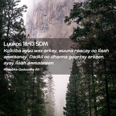 Picture 02 - Luukos 18:43 SOM - Kolkiiba ayuu wax arkay, wuuna raacay oo Ilaah - Bible Verse Picture