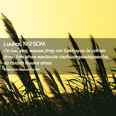 Picture 02 - Luukos 19:2 SOM - Oo bal eeg, waxaa jiray nin Sakhayos la odhan - Bible Verse Picture