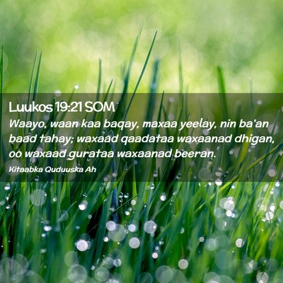 Picture 02 - Luukos 19:21 SOM - Waayo, waan kaa baqay, maxaa yeelay, nin ba'an - Bible Verse Picture