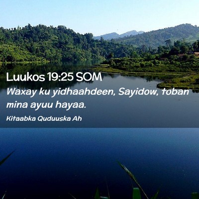 Picture 02 - Luukos 19:25 SOM - Waxay ku yidhaahdeen, Sayidow, toban mina ayuu - Bible Verse Picture