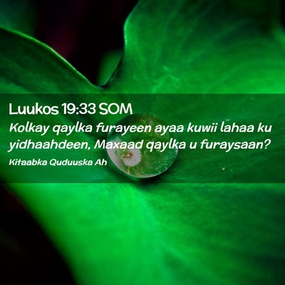 Picture 02 - Luukos 19:33 SOM - Kolkay qaylka furayeen ayaa kuwii lahaa ku - Bible Verse Picture