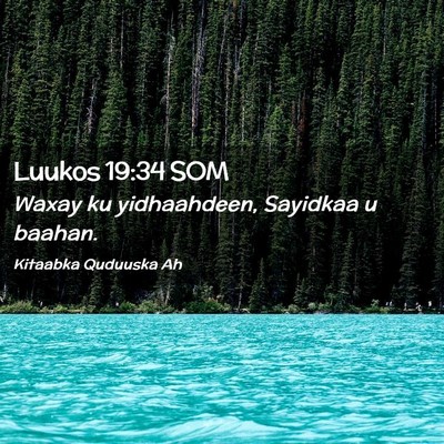 Picture 02 - Luukos 19:34 SOM - Waxay ku yidhaahdeen, Sayidkaa u - Bible Verse Picture