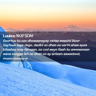 Picture 02 - Luukos 19:37 SOM - Goortuu ku soo dhowaanayay xataa meeshii Buur - Bible Verse Picture