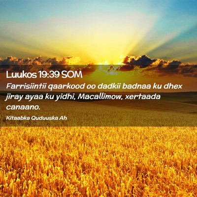 Picture 02 - Luukos 19:39 SOM - Farrisiintii qaarkood oo dadkii badnaa ku dhex - Bible Verse Picture