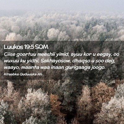 Picture 02 - Luukos 19:5 SOM - Ciise goortuu meeshii yimid, ayuu kor u eegay, oo - Bible Verse Picture