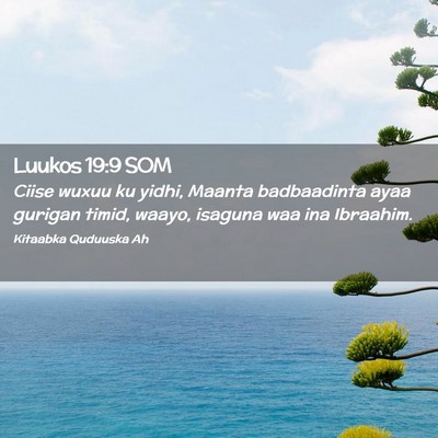 Picture 02 - Luukos 19:9 SOM - Ciise wuxuu ku yidhi, Maanta badbaadinta ayaa - Bible Verse Picture
