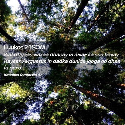 Picture 02 - Luukos 2:1 SOM - Wakhtigaas waxaa dhacay in amar ka soo baxay - Bible Verse Picture