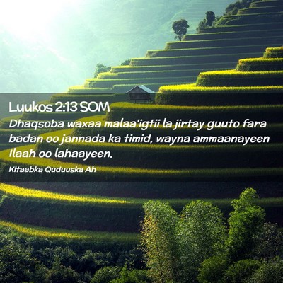 Picture 02 - Luukos 2:13 SOM - Dhaqsoba waxaa malaa'igtii la jirtay guuto fara - Bible Verse Picture