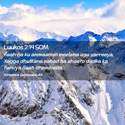 Picture 02 - Luukos 2:14 SOM - Ilaah ha ku ammaanmo meelaha ugu sarreeya, Xagga - Bible Verse Picture