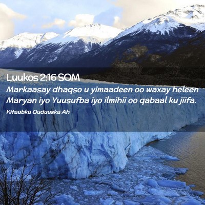 Picture 02 - Luukos 2:16 SOM - Markaasay dhaqso u yimaadeen oo waxay heleen - Bible Verse Picture