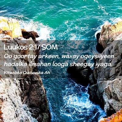 Picture 02 - Luukos 2:17 SOM - Oo goortay arkeen, waxay ogeysiiyeen hadalka - Bible Verse Picture