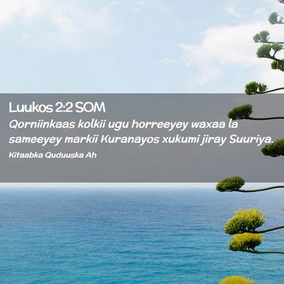 Picture 02 - Luukos 2:2 SOM - Qorniinkaas kolkii ugu horreeyey waxaa la - Bible Verse Picture