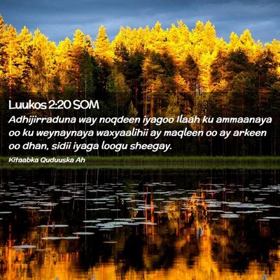 Picture 02 - Luukos 2:20 SOM - Adhijirraduna way noqdeen iyagoo Ilaah ku - Bible Verse Picture