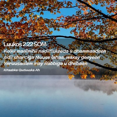 Picture 02 - Luukos 2:22 SOM - Kolkii maalmihii nadiifiskeeda u dhammaadeen - Bible Verse Picture
