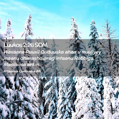 Picture 02 - Luukos 2:26 SOM - Waxaana Ruuxii Quduuska ahaa u muujiyey inaanu - Bible Verse Picture