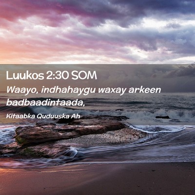 Picture 02 - Luukos 2:30 SOM - Waayo, indhahaygu waxay arkeen - Bible Verse Picture