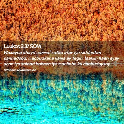 Picture 02 - Luukos 2:37 SOM - Waxayna ahayd carmal xataa afar iyo siddeetan - Bible Verse Picture
