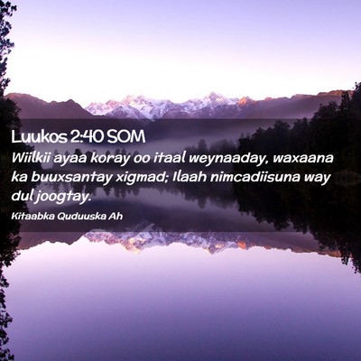 Picture 02 - Luukos 2:40 SOM - Wiilkii ayaa koray oo itaal weynaaday, waxaana ka - Bible Verse Picture