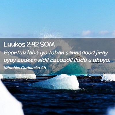 Picture 02 - Luukos 2:42 SOM - Goortuu laba iyo toban sannadood jiray ayay - Bible Verse Picture