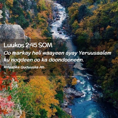 Picture 02 - Luukos 2:45 SOM - Oo markay heli waayeen ayay Yeruusaalem ku - Bible Verse Picture