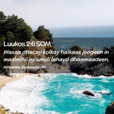 Picture 02 - Luukos 2:6 SOM - Waxaa dhacay kolkay halkaas joogeen in maalmihii - Bible Verse Picture
