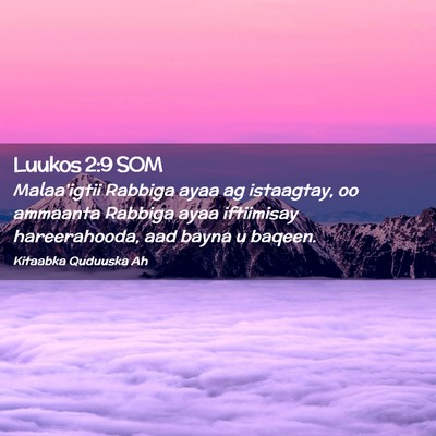 Picture 02 - Luukos 2:9 SOM - Malaa'igtii Rabbiga ayaa ag istaagtay, oo - Bible Verse Picture