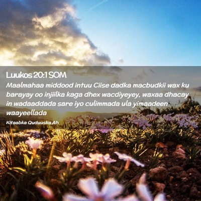 Picture 02 - Luukos 20:1 SOM - Maalmahaa middood intuu Ciise dadka macbudkii wax - Bible Verse Picture